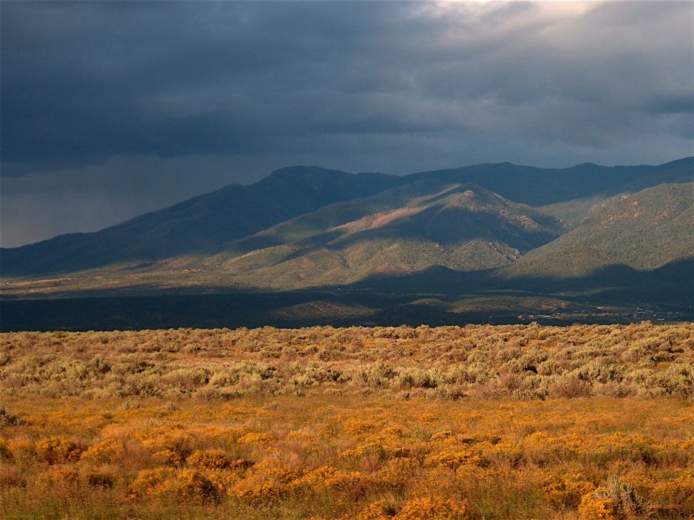 Taos County land for sale on Arroyo Hondo mesa