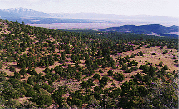 top of Cerro Montoso, Taos County, Mew Mexico