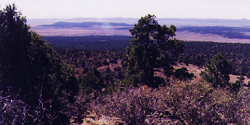 off-grid mountain land in Taos County, Cerro Montoso